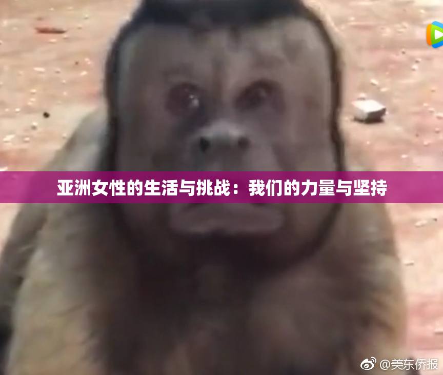 亚洲女性的生活与挑战：我们的力量与坚持