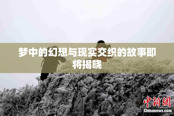 梦中的幻想与现实交织的故事即将揭晓