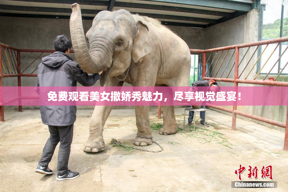 免费观看美女撒娇秀魅力，尽享视觉盛宴！