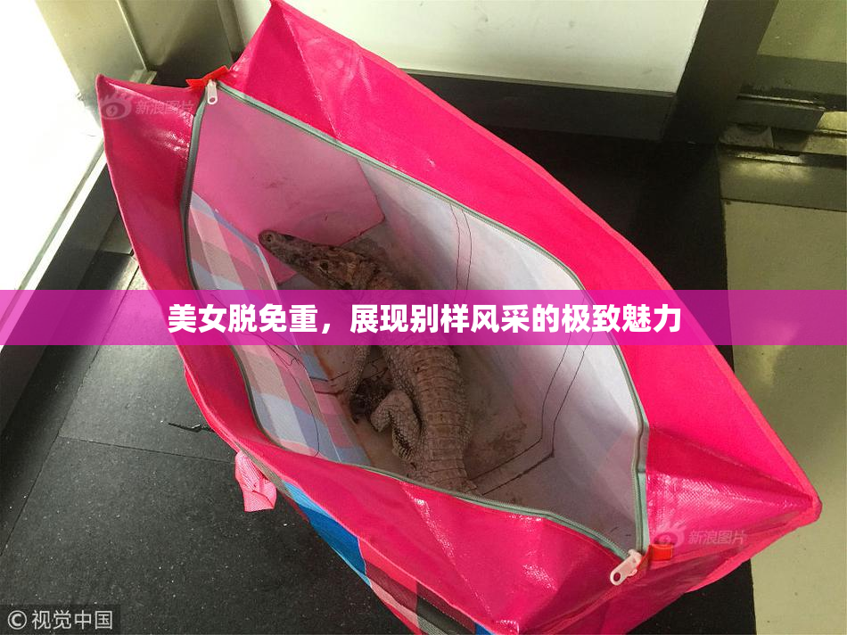 美女脱免重，展现别样风采的极致魅力