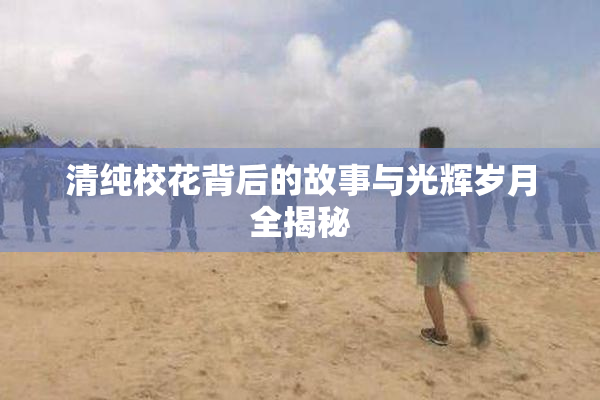 清纯校花背后的故事与光辉岁月全揭秘