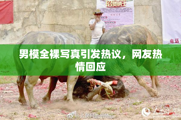 男模全裸写真引发热议，网友热情回应