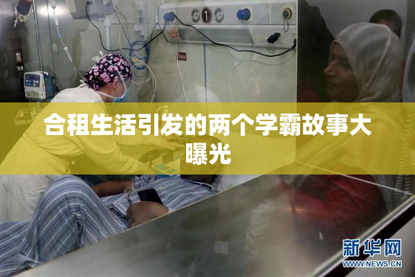 合租生活引发的两个学霸故事大曝光