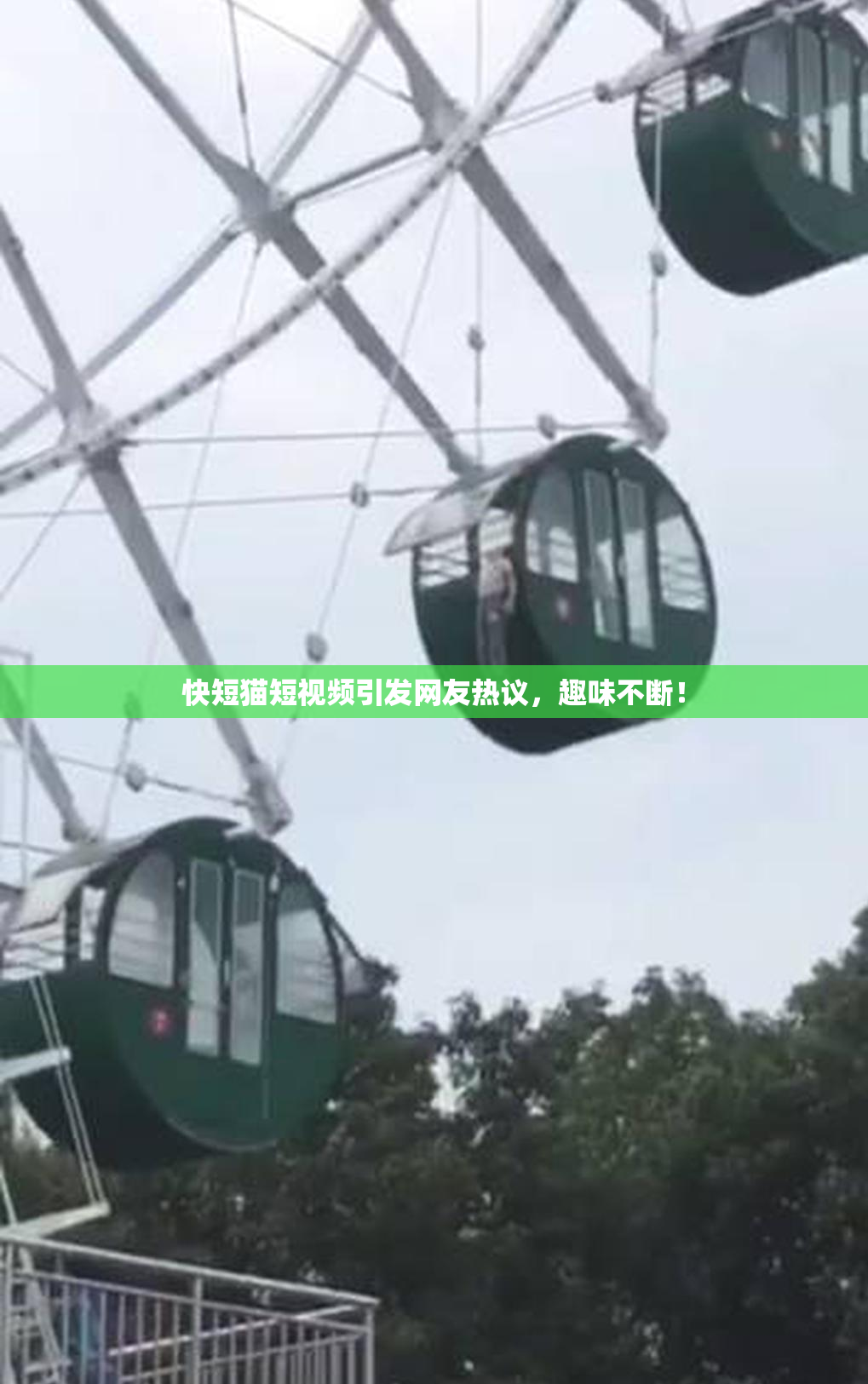 快短猫短视频引发网友热议，趣味不断！