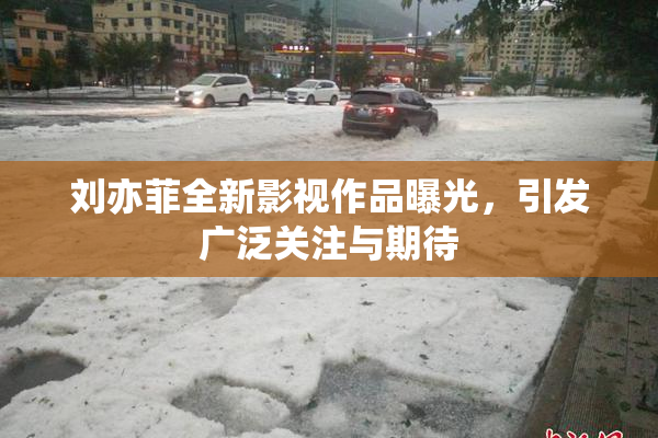 刘亦菲全新影视作品曝光，引发广泛关注与期待