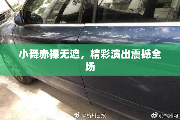 小舞赤裸无遮，精彩演出震撼全场