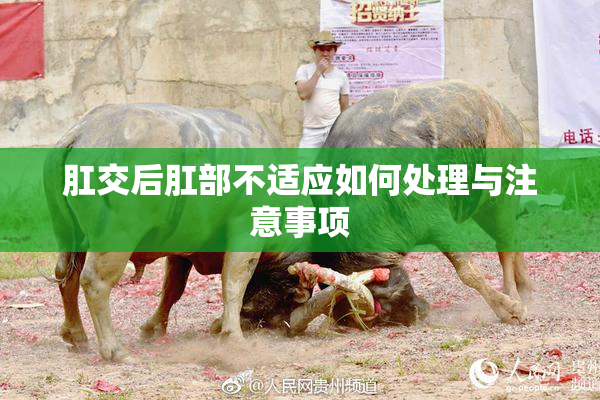 肛交后肛部不适应如何处理与注意事项