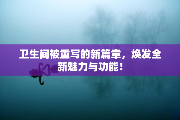 卫生间被重写的新篇章，焕发全新魅力与功能！