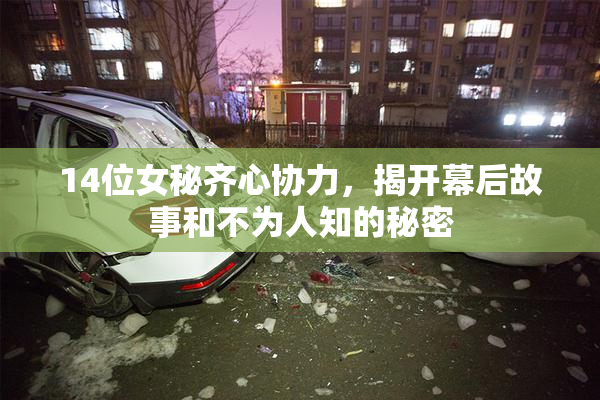 14位女秘齐心协力，揭开幕后故事和不为人知的秘密