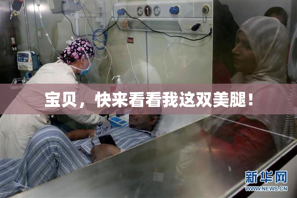 宝贝，快来看看我这双美腿！