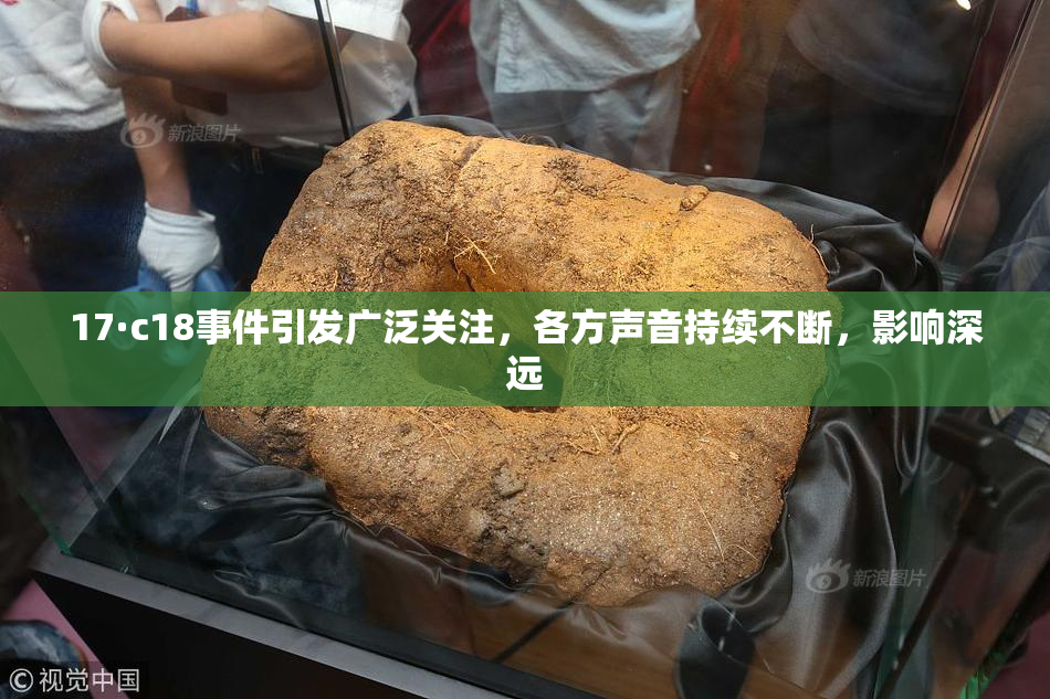 17·c18事件引发广泛关注，各方声音持续不断，影响深远