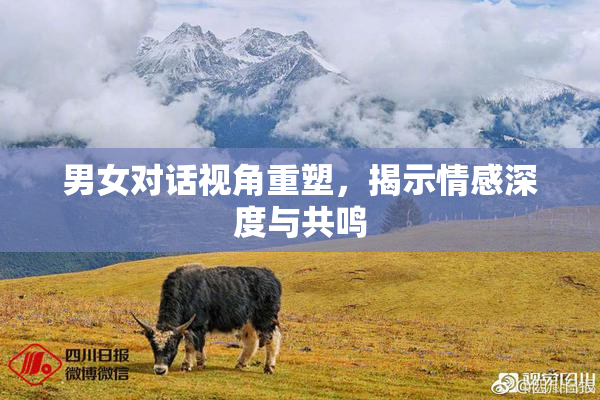 男女对话视角重塑，揭示情感深度与共鸣