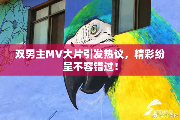 双男主MV大片引发热议，精彩纷呈不容错过！
