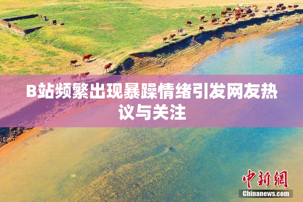 B站频繁出现暴躁情绪引发网友热议与关注