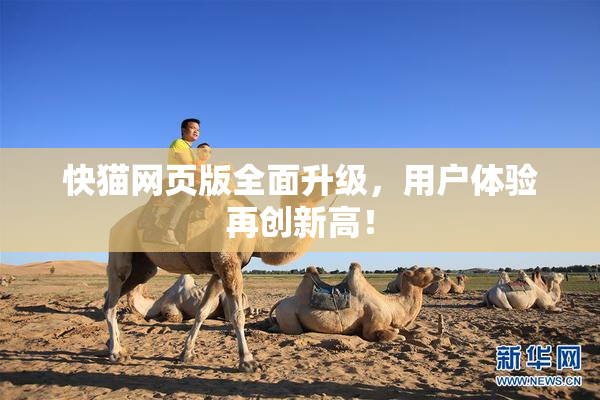 快猫网页版全面升级，用户体验再创新高！