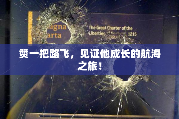 赞一把路飞，见证他成长的航海之旅！