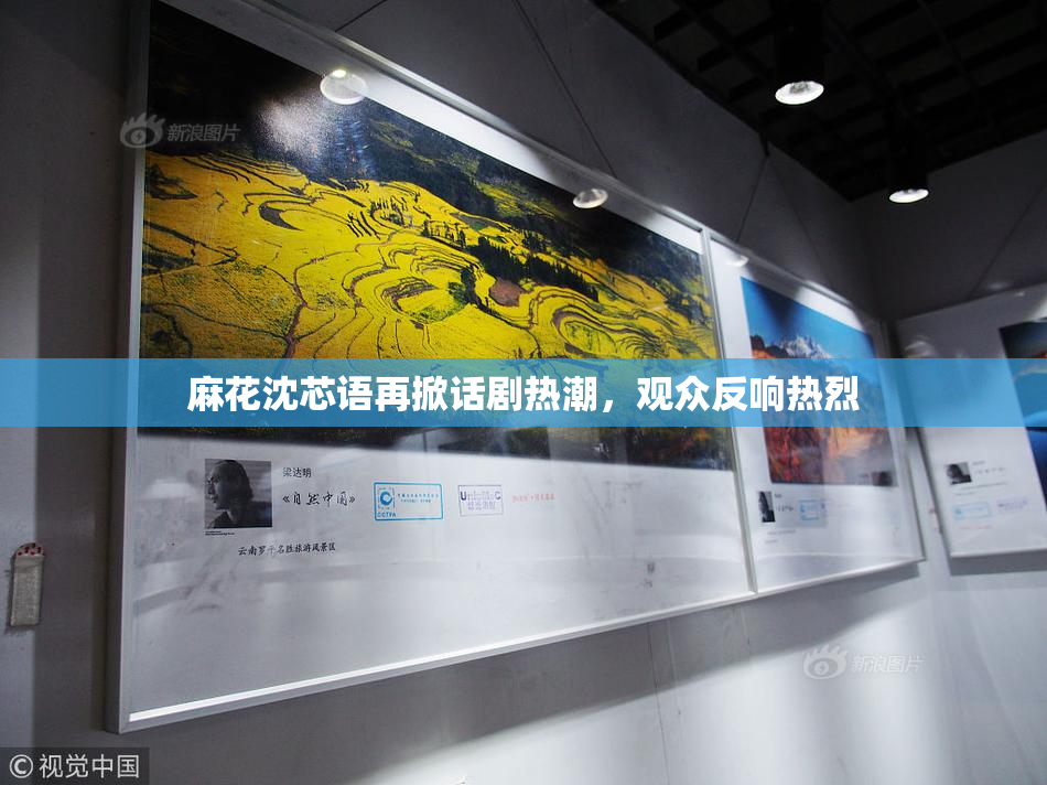 麻花沈芯语再掀话剧热潮，观众反响热烈
