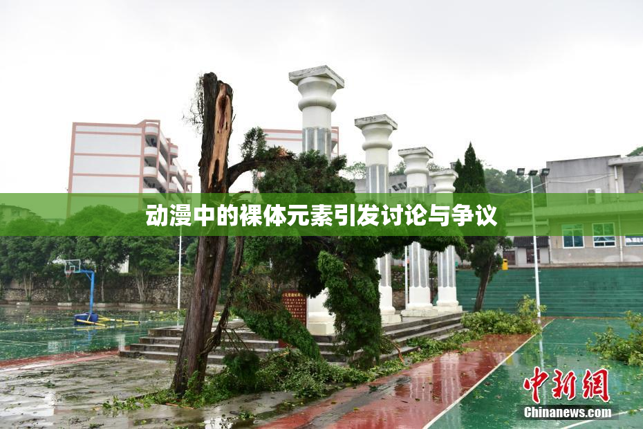 动漫中的裸体元素引发讨论与争议
