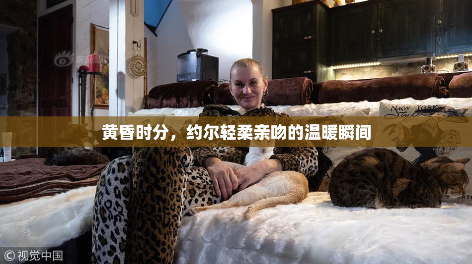 黄昏时分，约尔轻柔亲吻的温暖瞬间