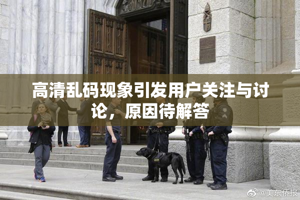 高清乱码现象引发用户关注与讨论，原因待解答