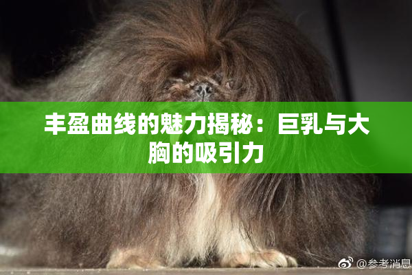 丰盈曲线的魅力揭秘：巨乳与大胸的吸引力