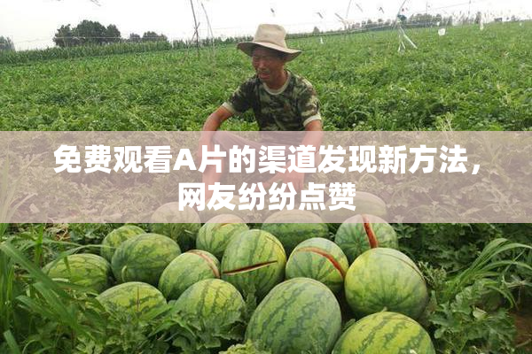 免费观看A片的渠道发现新方法，网友纷纷点赞