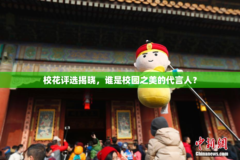 校花评选揭晓，谁是校园之美的代言人？