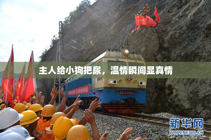 主人给小狗把尿，温情瞬间显真情