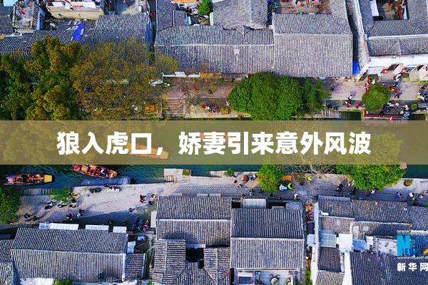 狼入虎口，娇妻引来意外风波