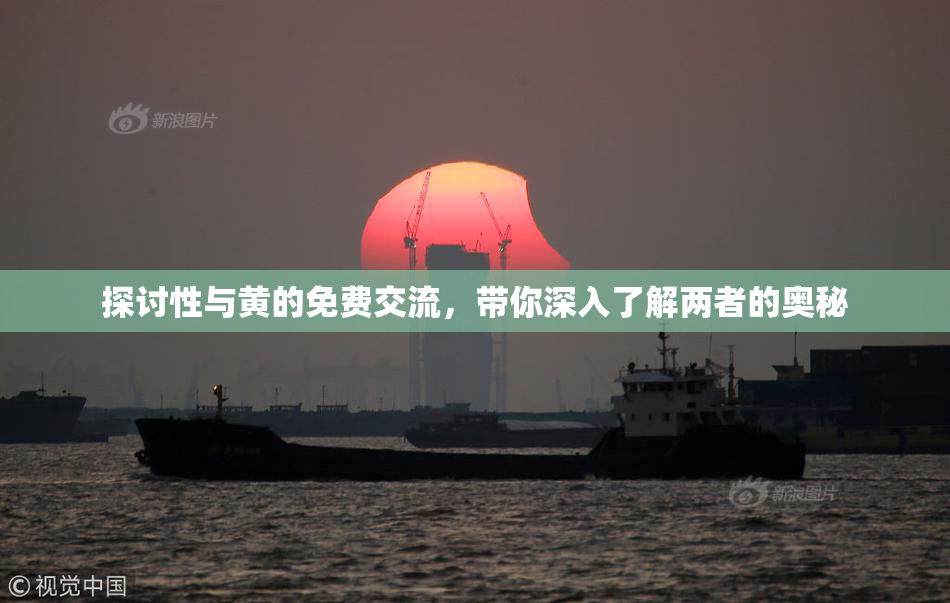 探讨性与黄的免费交流，带你深入了解两者的奥秘