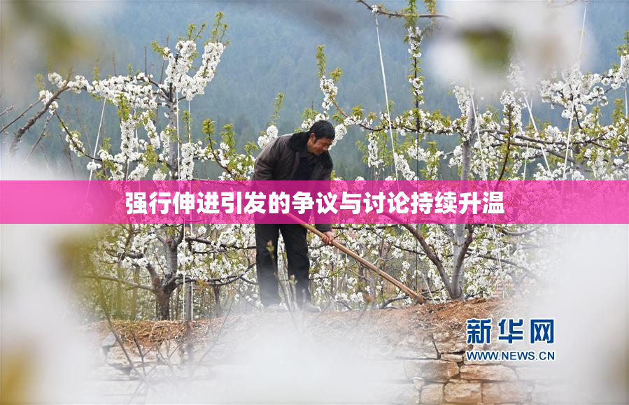 强行伸进引发的争议与讨论持续升温