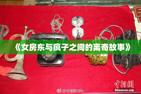 《女房东与疯子之间的离奇故事》