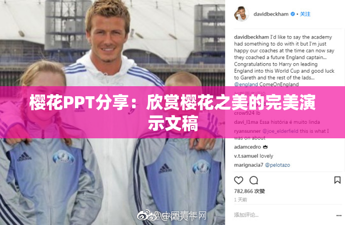 樱花PPT分享：欣赏樱花之美的完美演示文稿