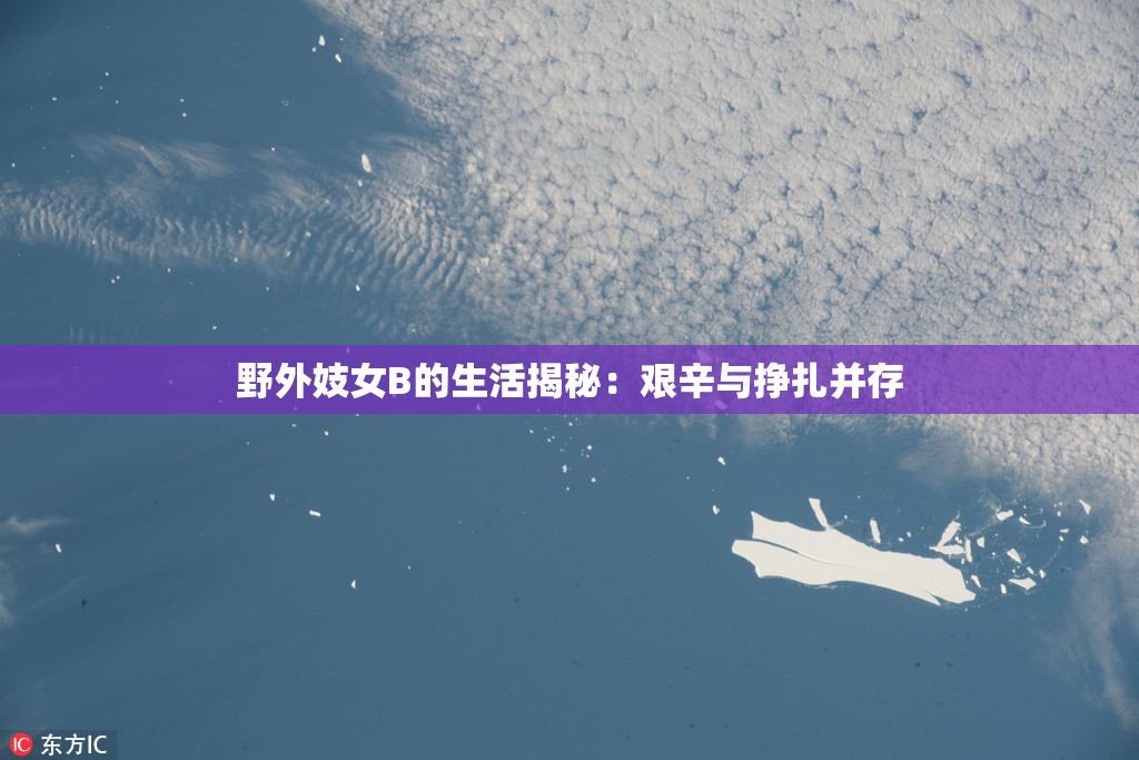 野外妓女B的生活揭秘：艰辛与挣扎并存