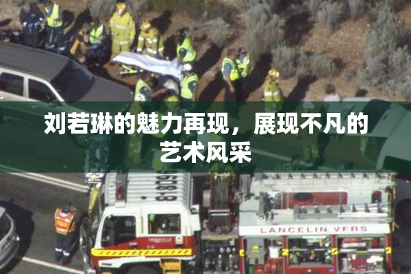 刘若琳的魅力再现，展现不凡的艺术风采