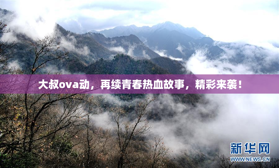 大叔ova动，再续青春热血故事，精彩来袭！