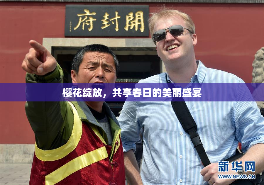樱花绽放，共享春日的美丽盛宴