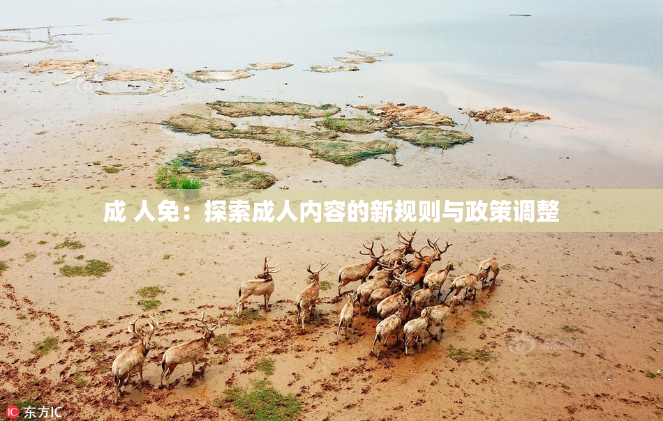 成 人免：探索成人内容的新规则与政策调整