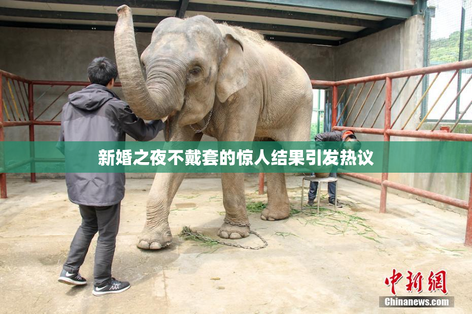 新婚之夜不戴套的惊人结果引发热议