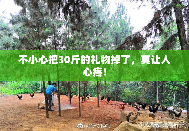 不小心把30斤的礼物掉了，真让人心疼！