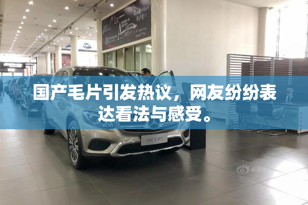 国产毛片引发热议，网友纷纷表达看法与感受。