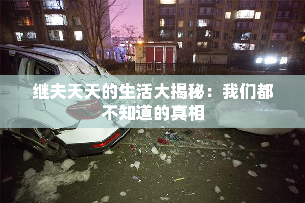 继夫天天的生活大揭秘：我们都不知道的真相