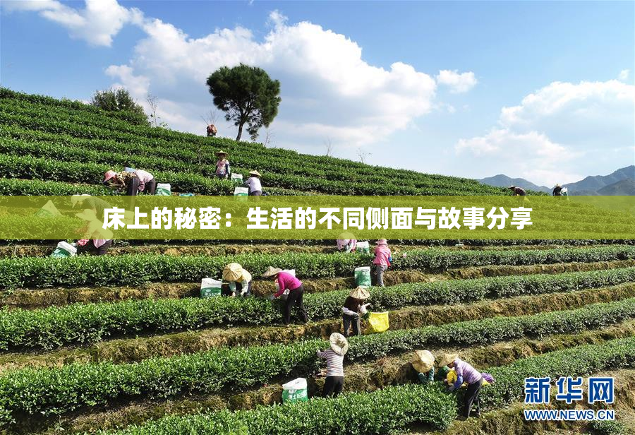 床上的秘密：生活的不同侧面与故事分享