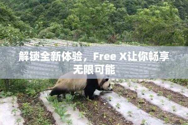 解锁全新体验，Free X让你畅享无限可能