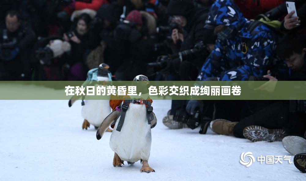 在秋日的黄昏里，色彩交织成绚丽画卷