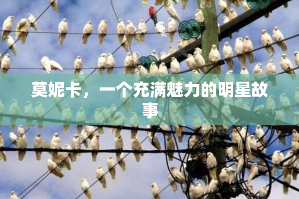 莫妮卡，一个充满魅力的明星故事