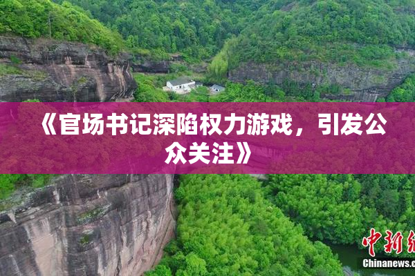 《官场书记深陷权力游戏，引发公众关注》