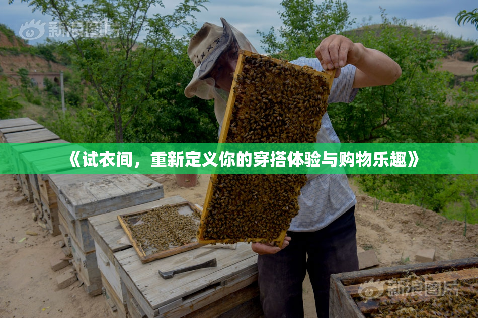 《试衣间，重新定义你的穿搭体验与购物乐趣》