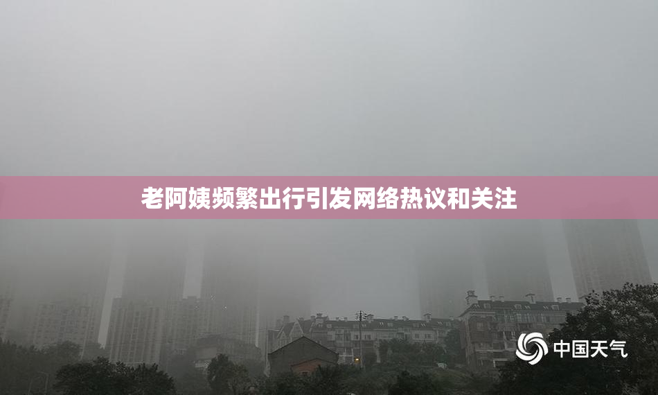 老阿姨频繁出行引发网络热议和关注