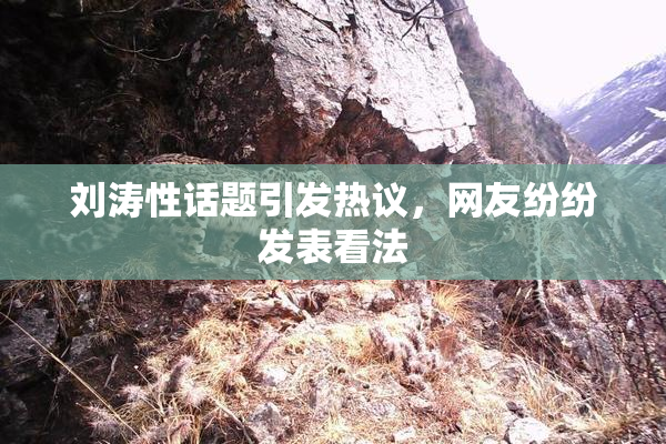 刘涛性话题引发热议，网友纷纷发表看法